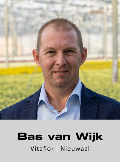 Bas van Wijk